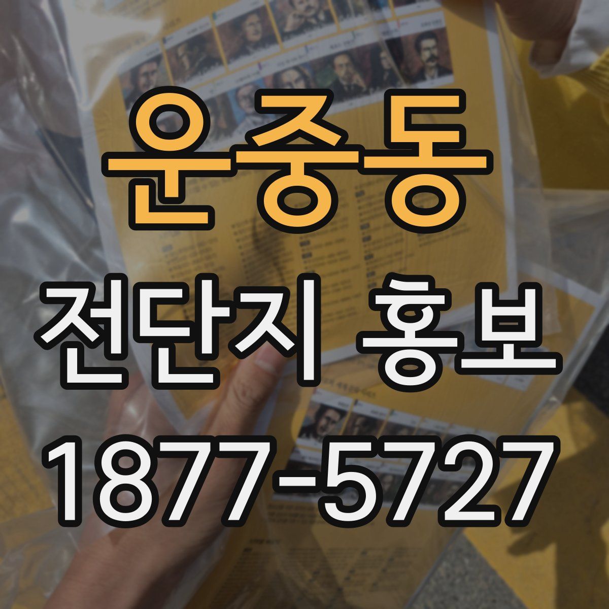 운중동 전단지 홍보