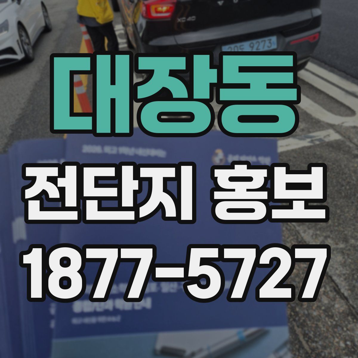 대장동 전단지 홍보