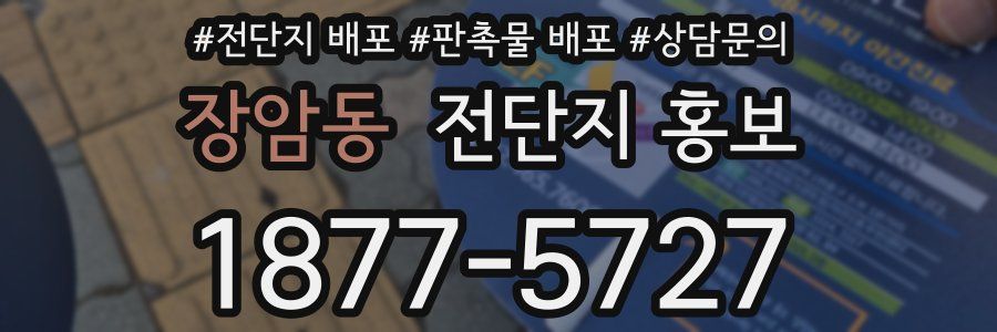 장암동 전단지 홍보