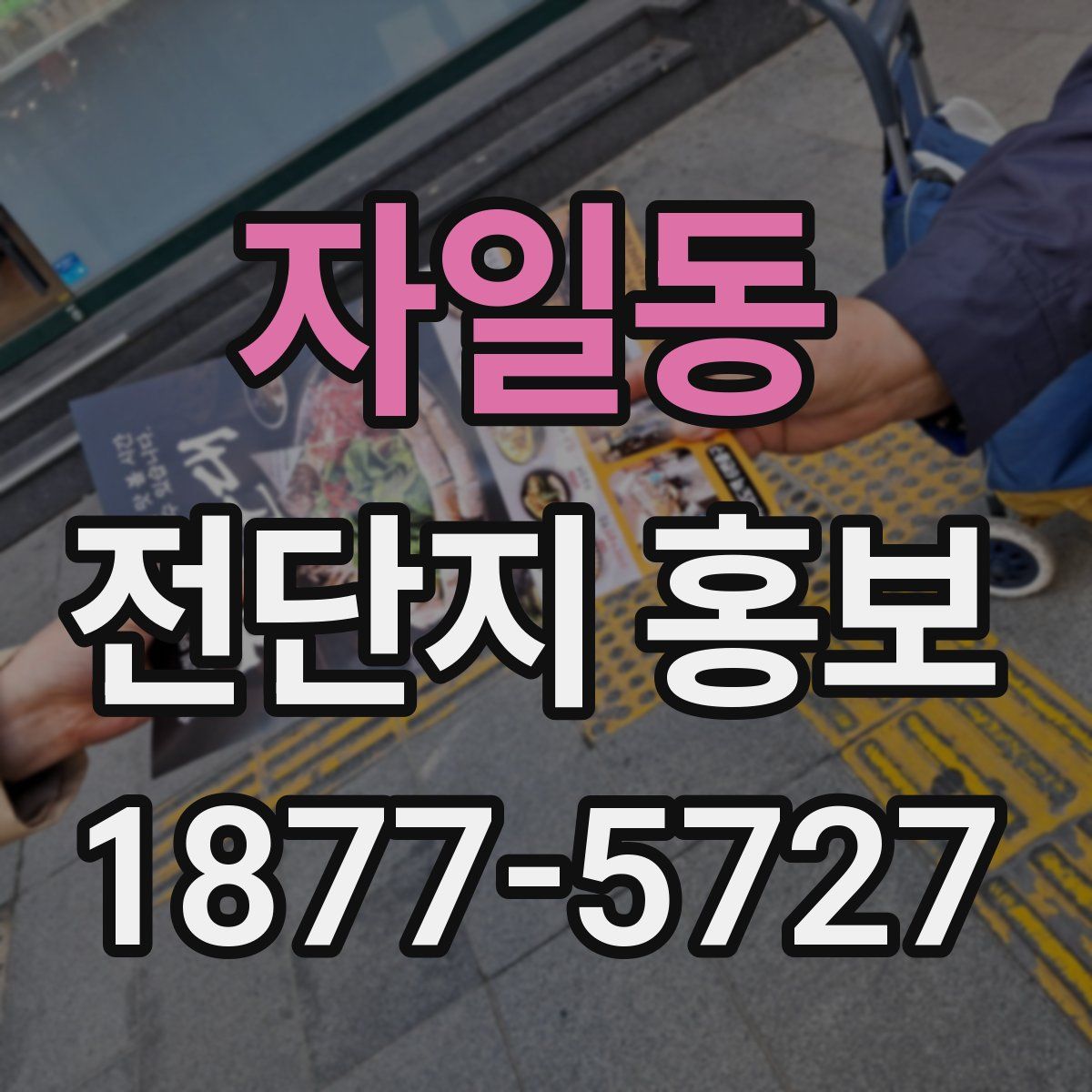 자일동 전단지 홍보