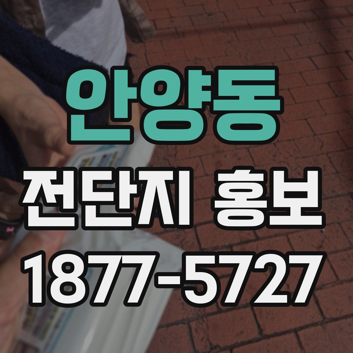 안양동 전단지 홍보