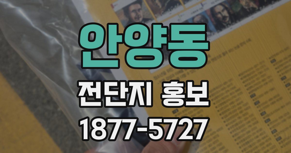 안양동 전단지 홍보