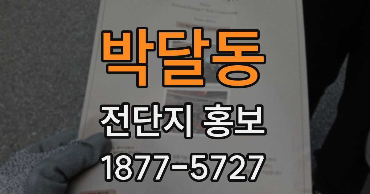 박달동 전단지 홍보