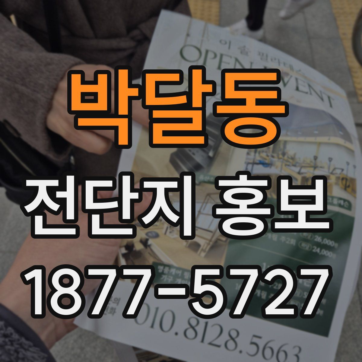 박달동 전단지 홍보