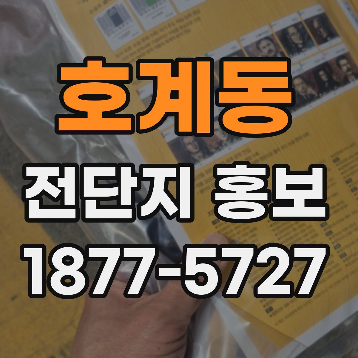 호계동 전단지 홍보