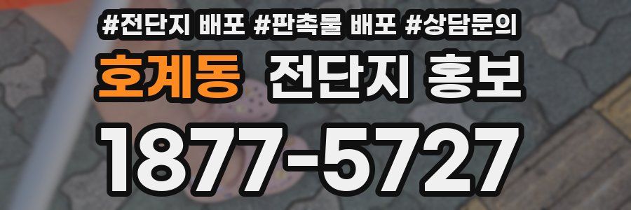 호계동 전단지 홍보