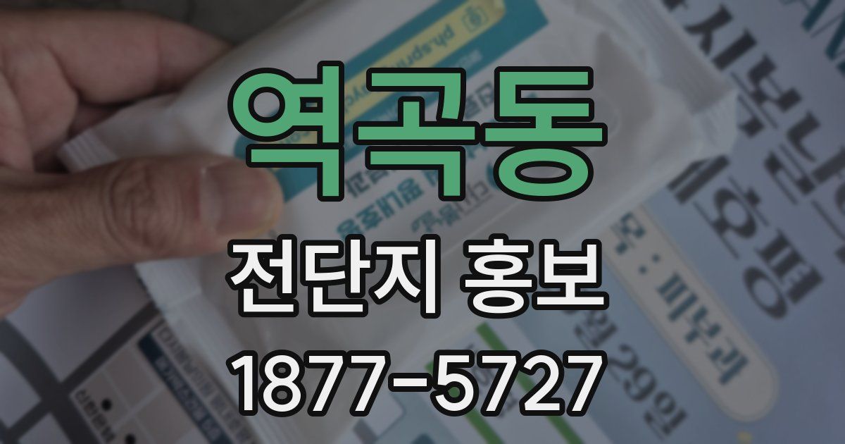 역곡동 전단지 홍보