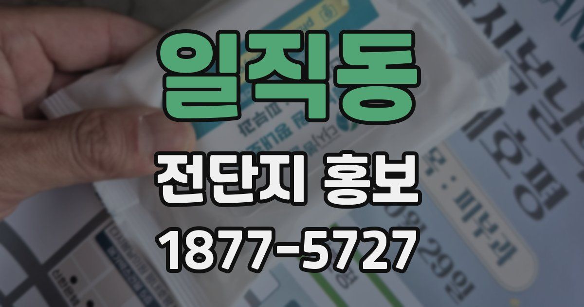 일직동 전단지 홍보