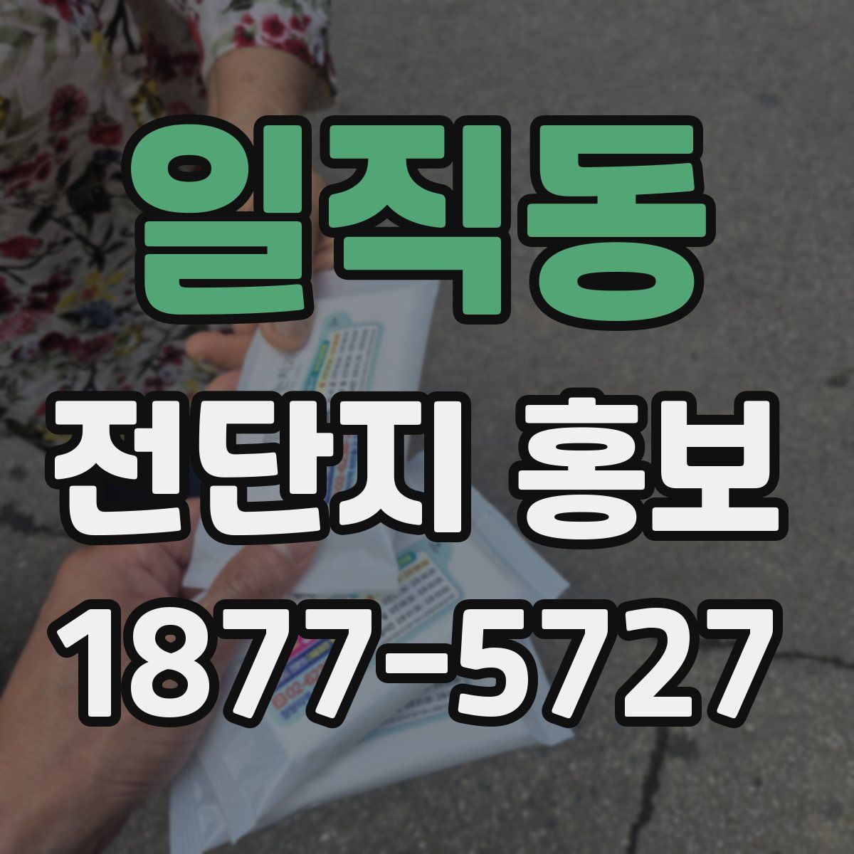 일직동 전단지 홍보
