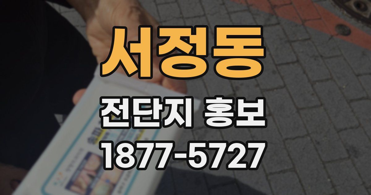 서정동 전단지 홍보