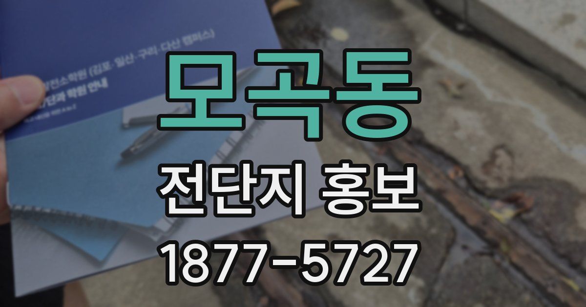 모곡동 전단지 홍보