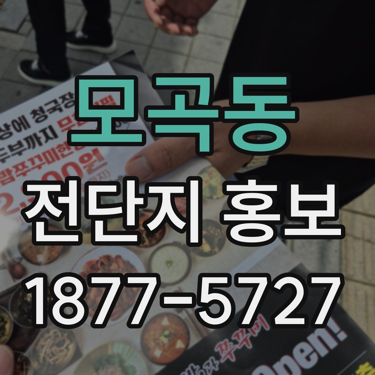 모곡동 전단지 홍보