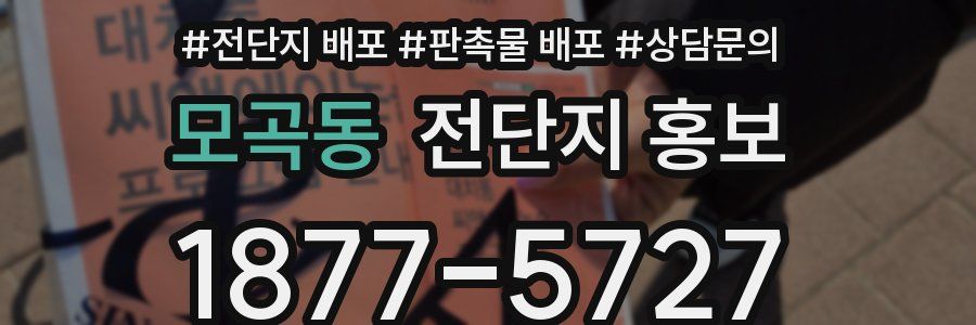 모곡동 전단지 홍보