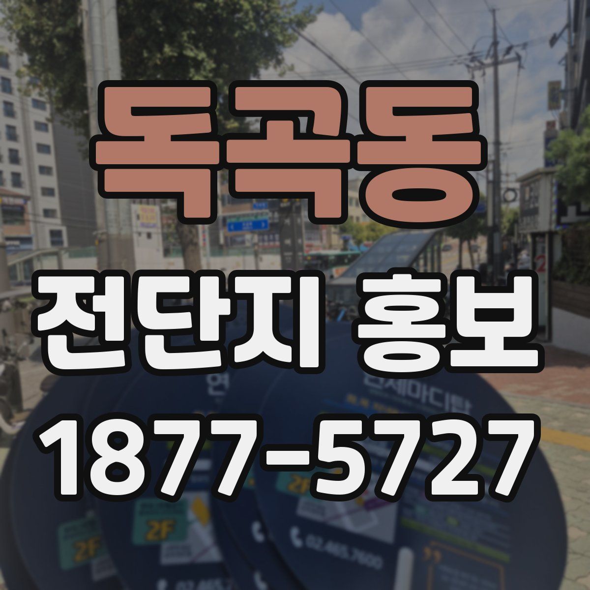 독곡동 전단지 홍보