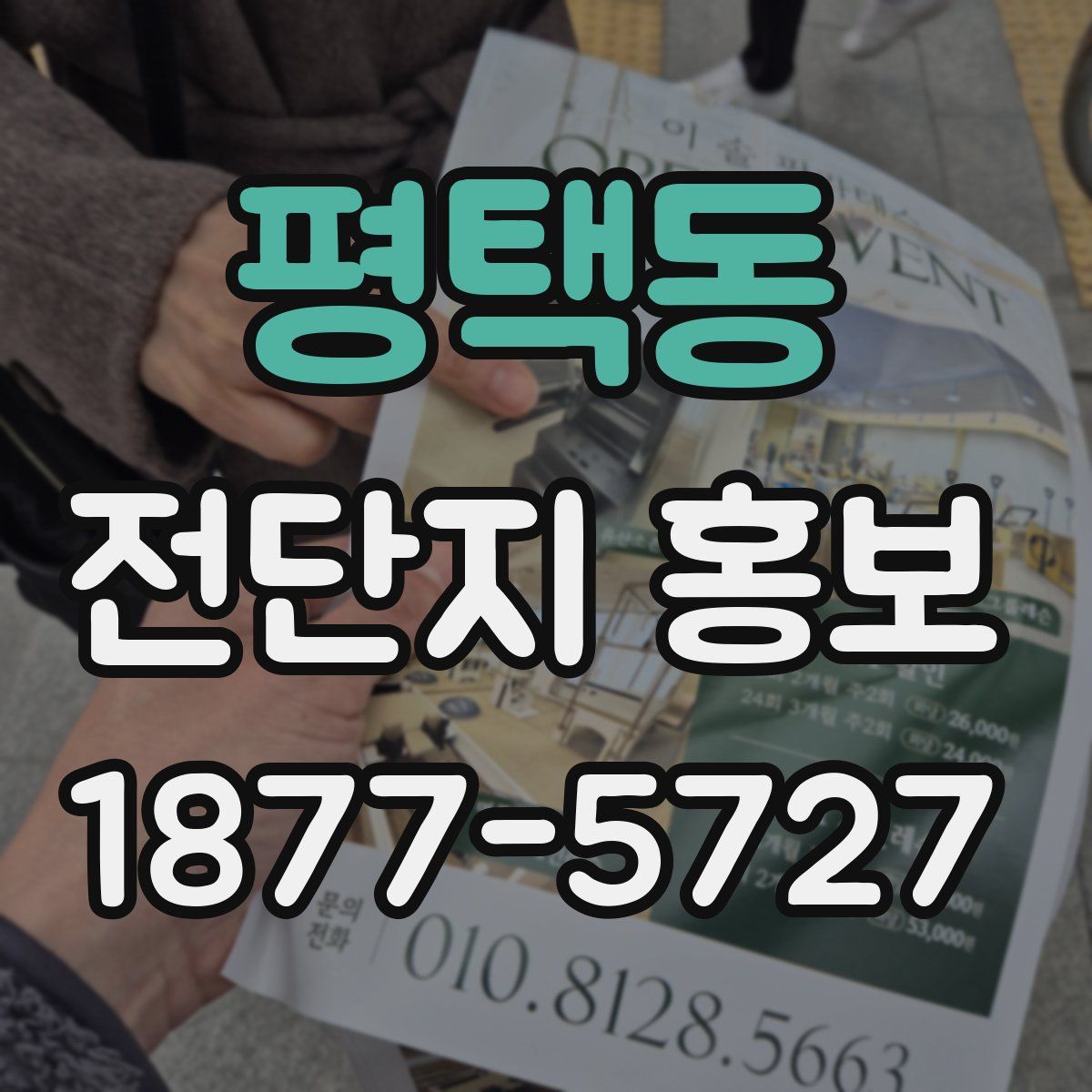 평택동 전단지 홍보