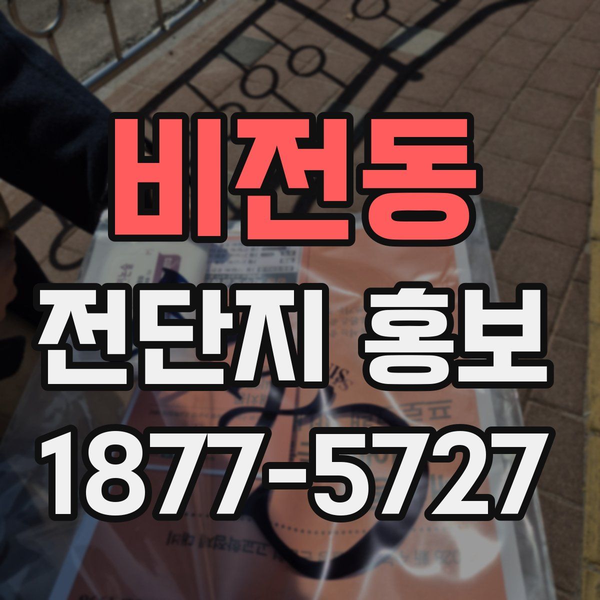 비전동 전단지 홍보