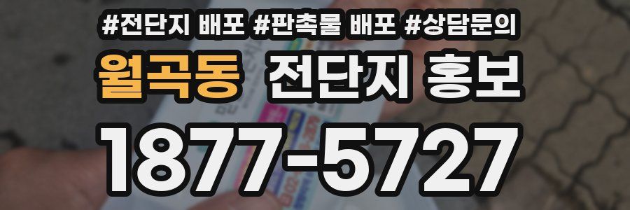 월곡동 전단지 홍보