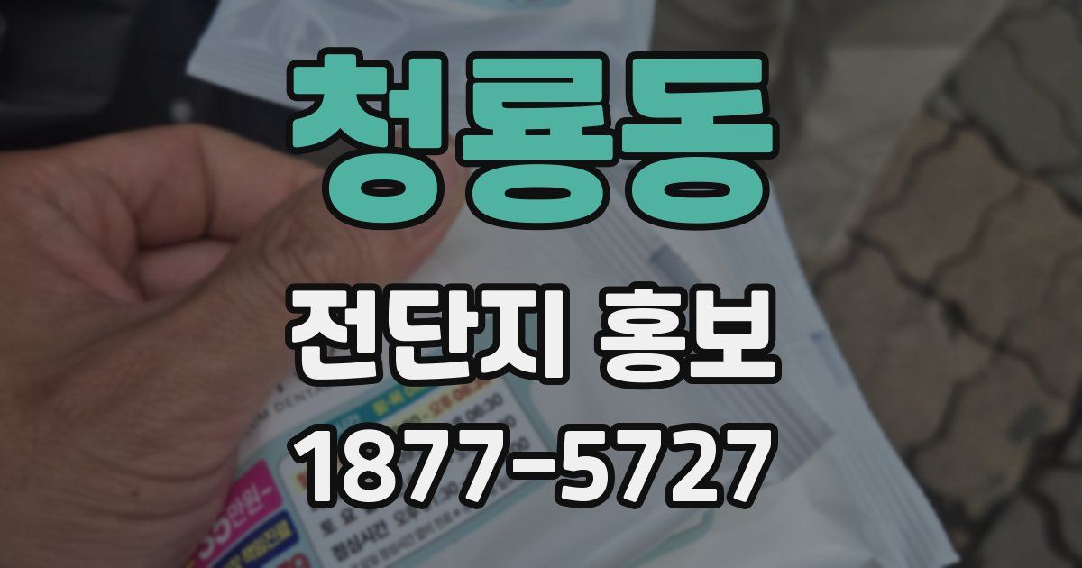청룡동 전단지 홍보