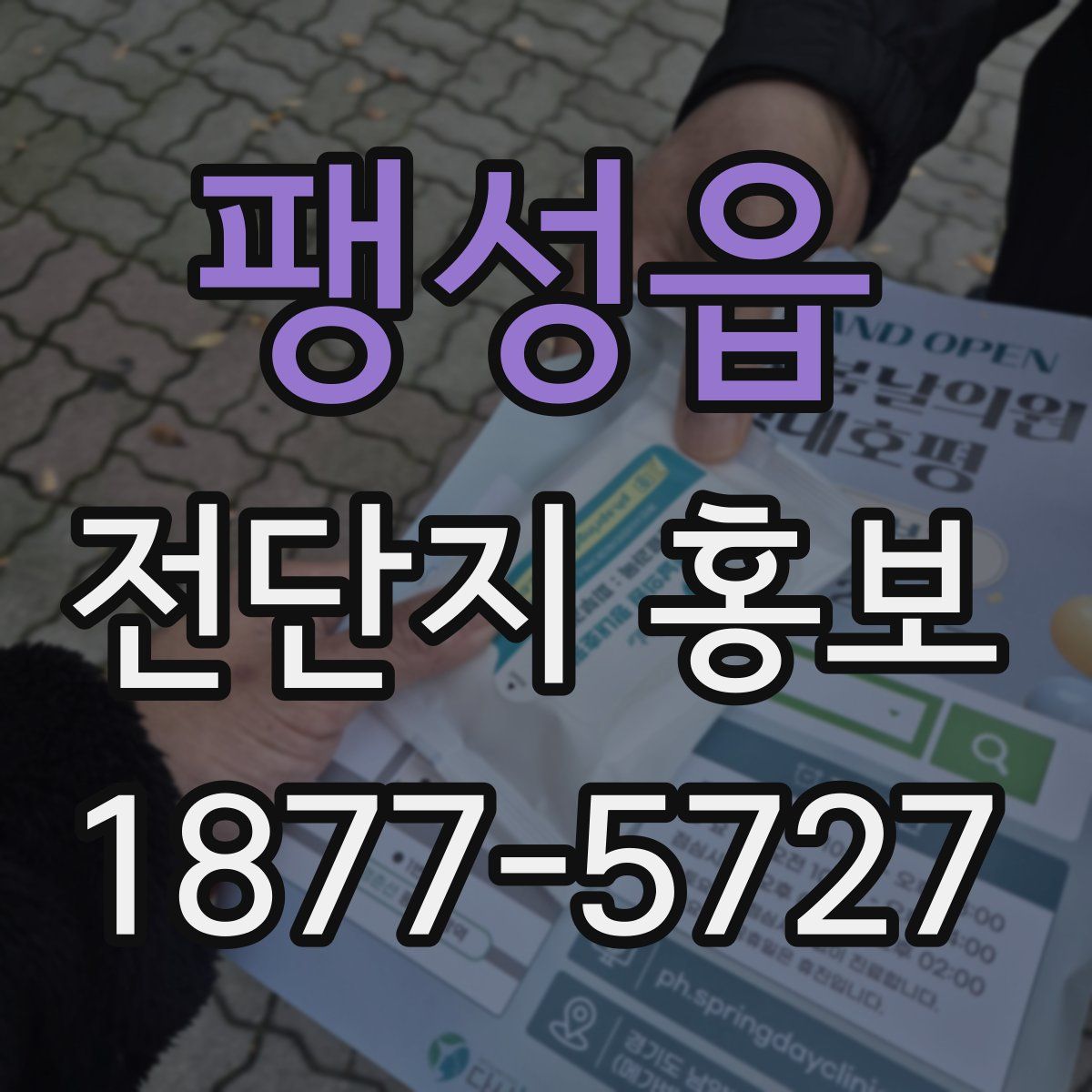 팽성읍 전단지 홍보