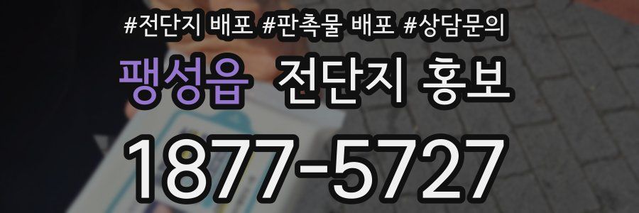 팽성읍 전단지 홍보
