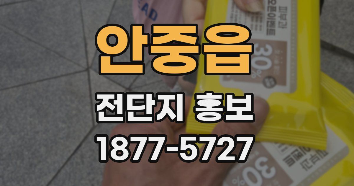 안중읍 전단지 홍보