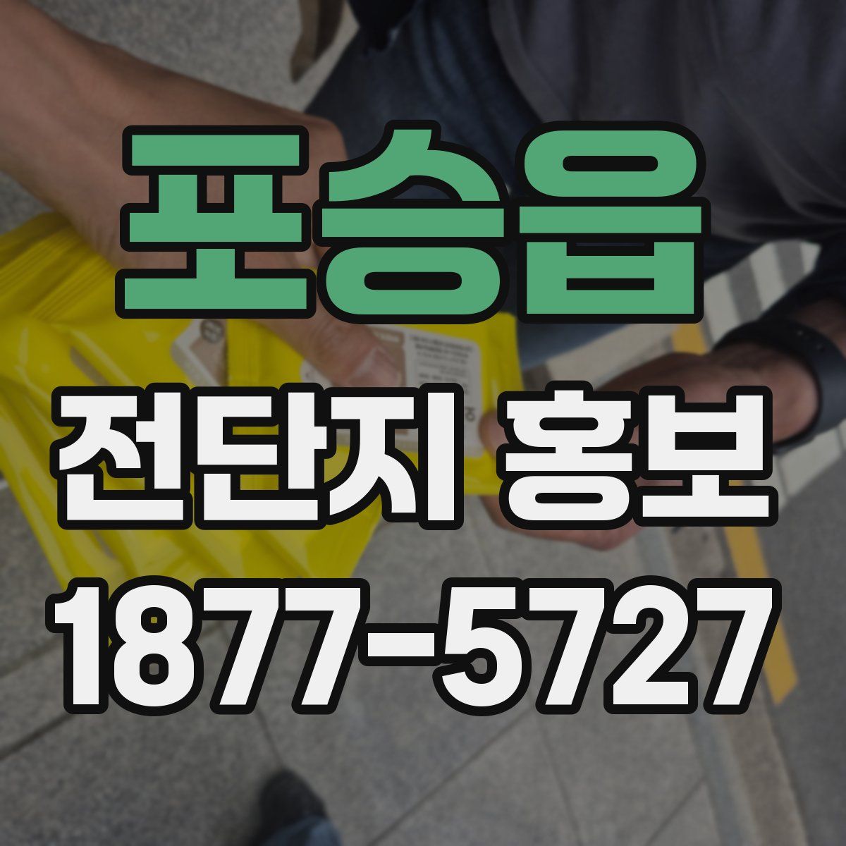 포승읍 전단지 홍보
