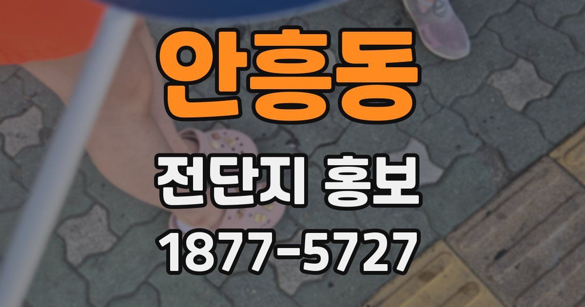 안흥동 전단지 홍보