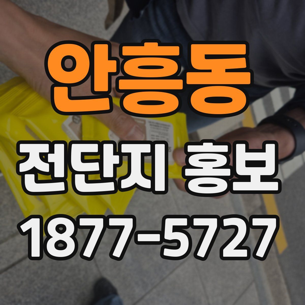안흥동 전단지 홍보