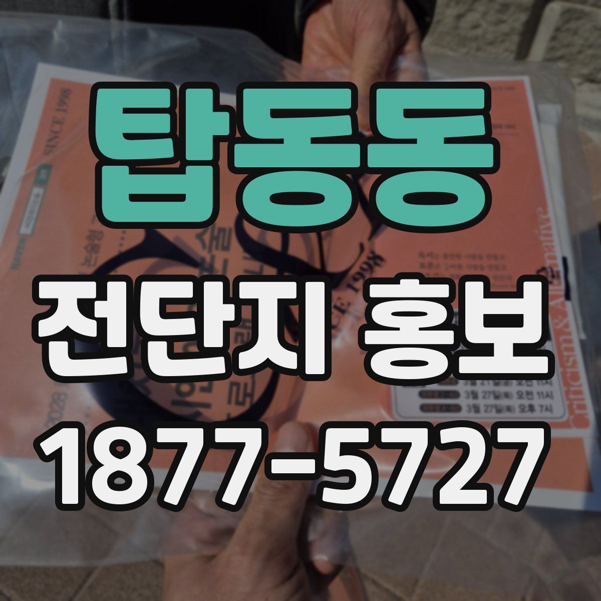 탑동동 전단지 홍보