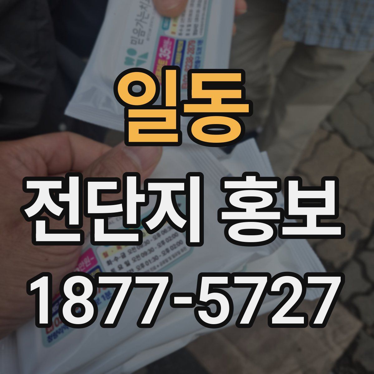 일동 전단지 홍보