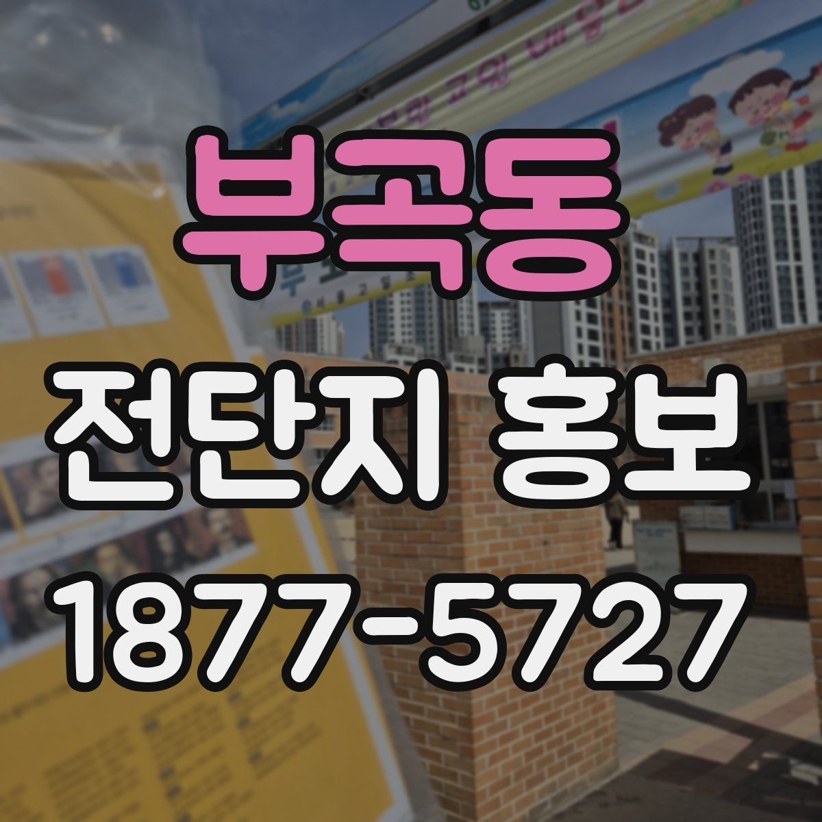 부곡동 전단지 홍보