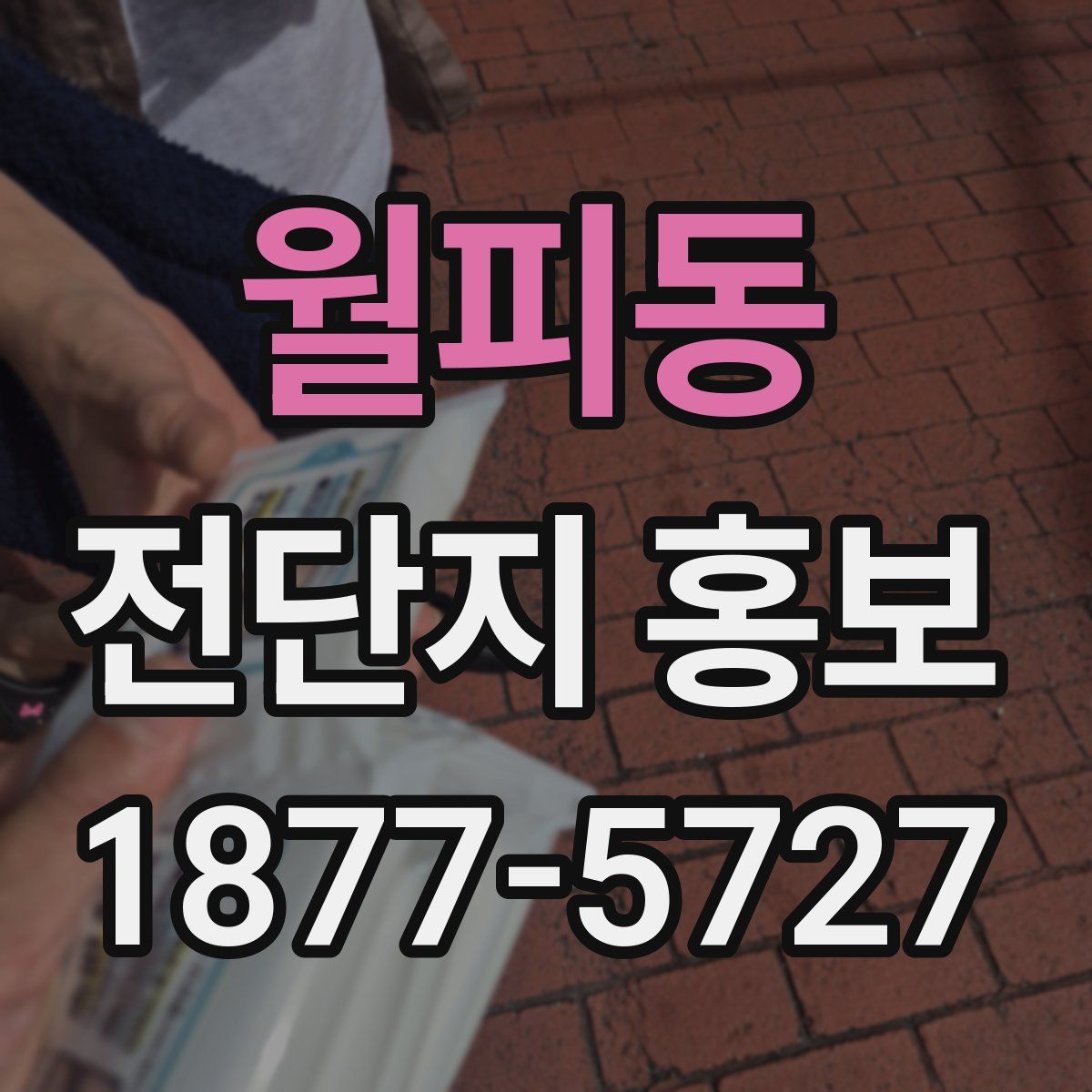 월피동 전단지 홍보