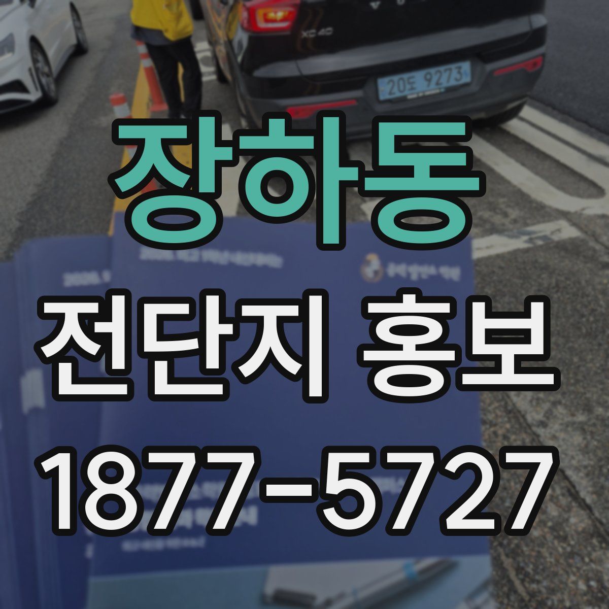 장하동 전단지 홍보