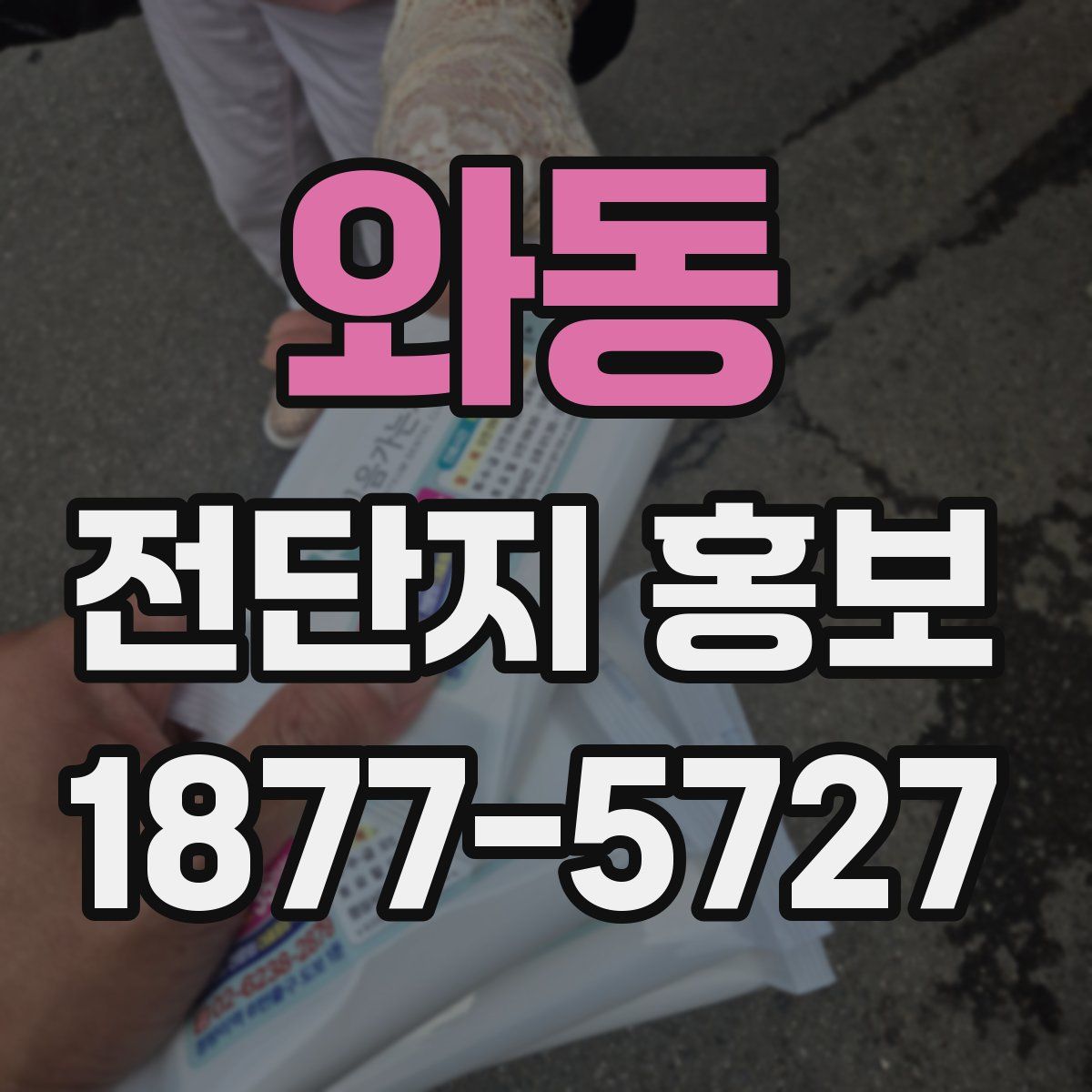 와동 전단지 홍보