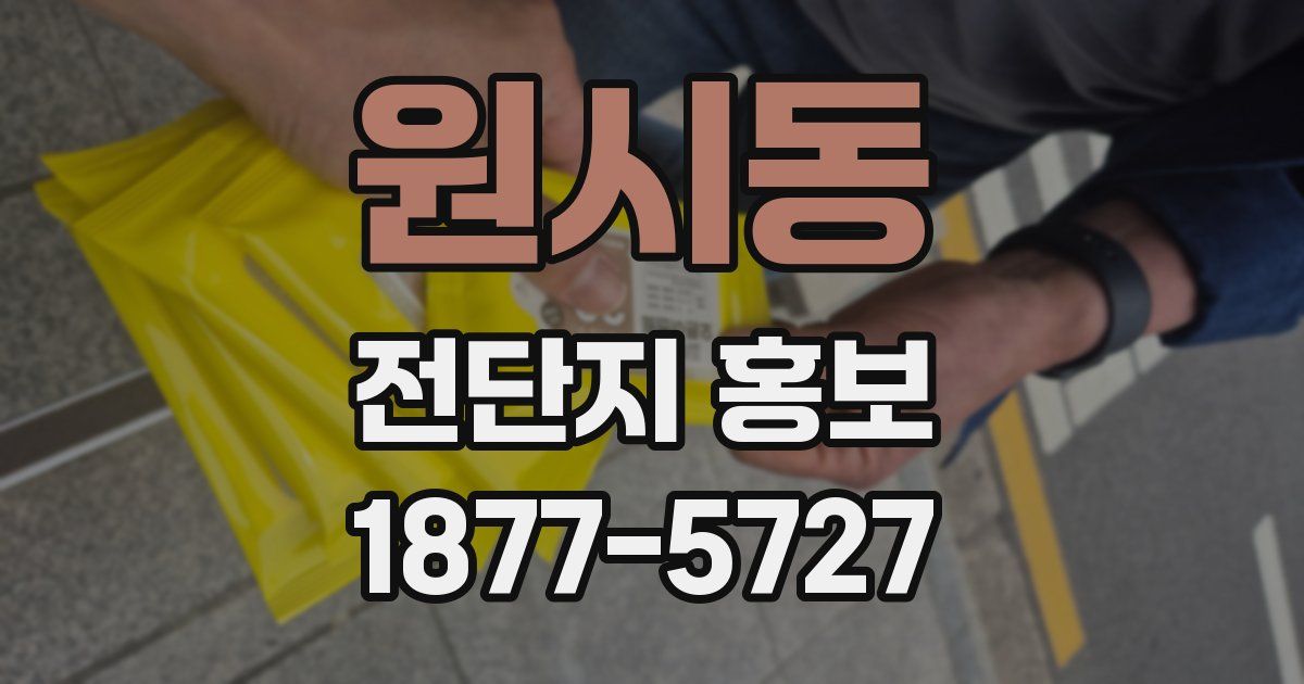 원시동 전단지 홍보