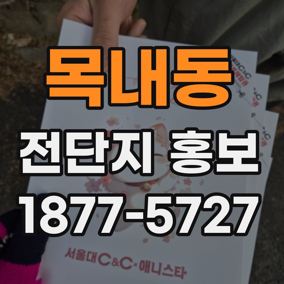 목내동 전단지 홍보