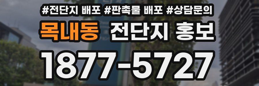 목내동 전단지 홍보