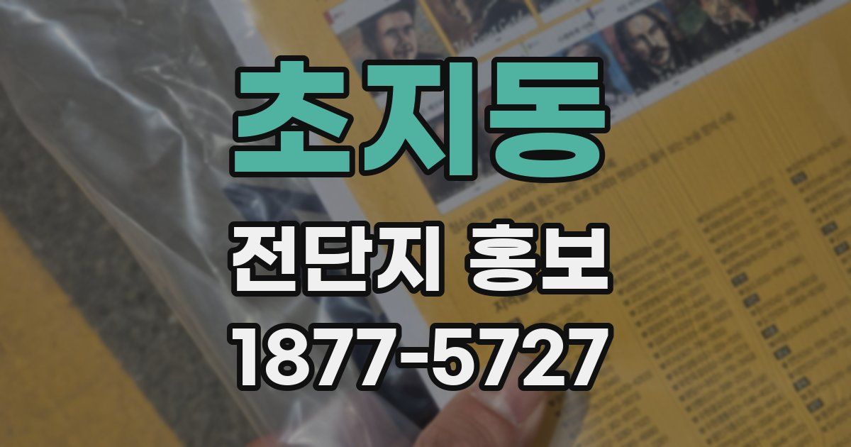 초지동 전단지 홍보