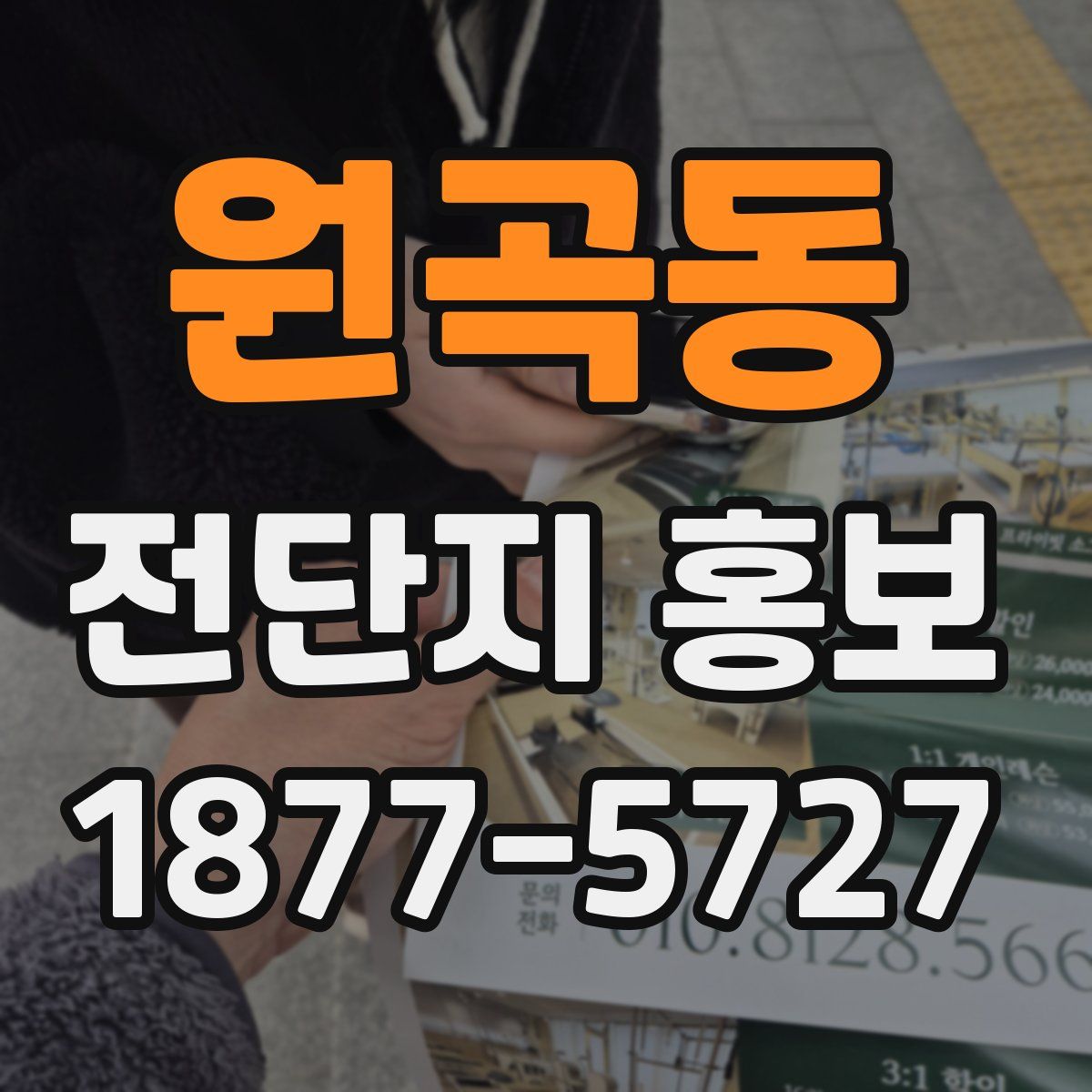 원곡동 전단지 홍보