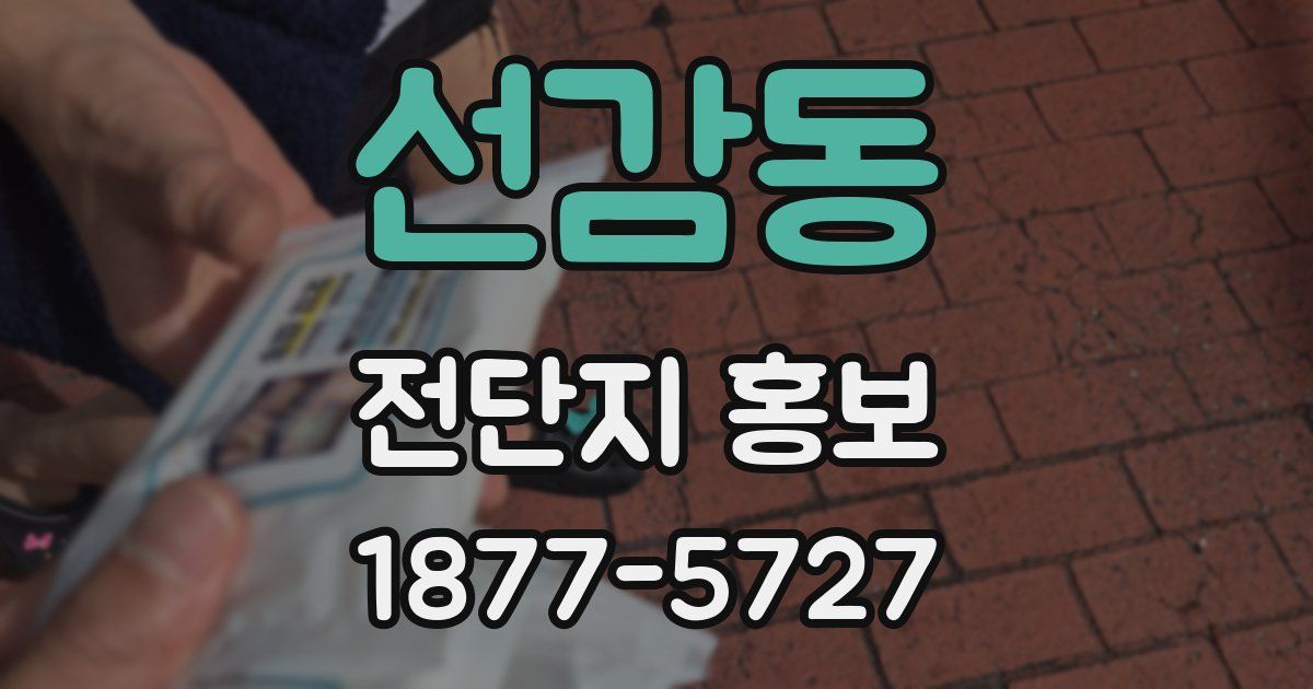 선감동 전단지 홍보