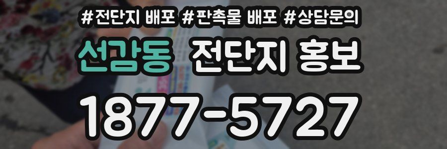 선감동 전단지 홍보