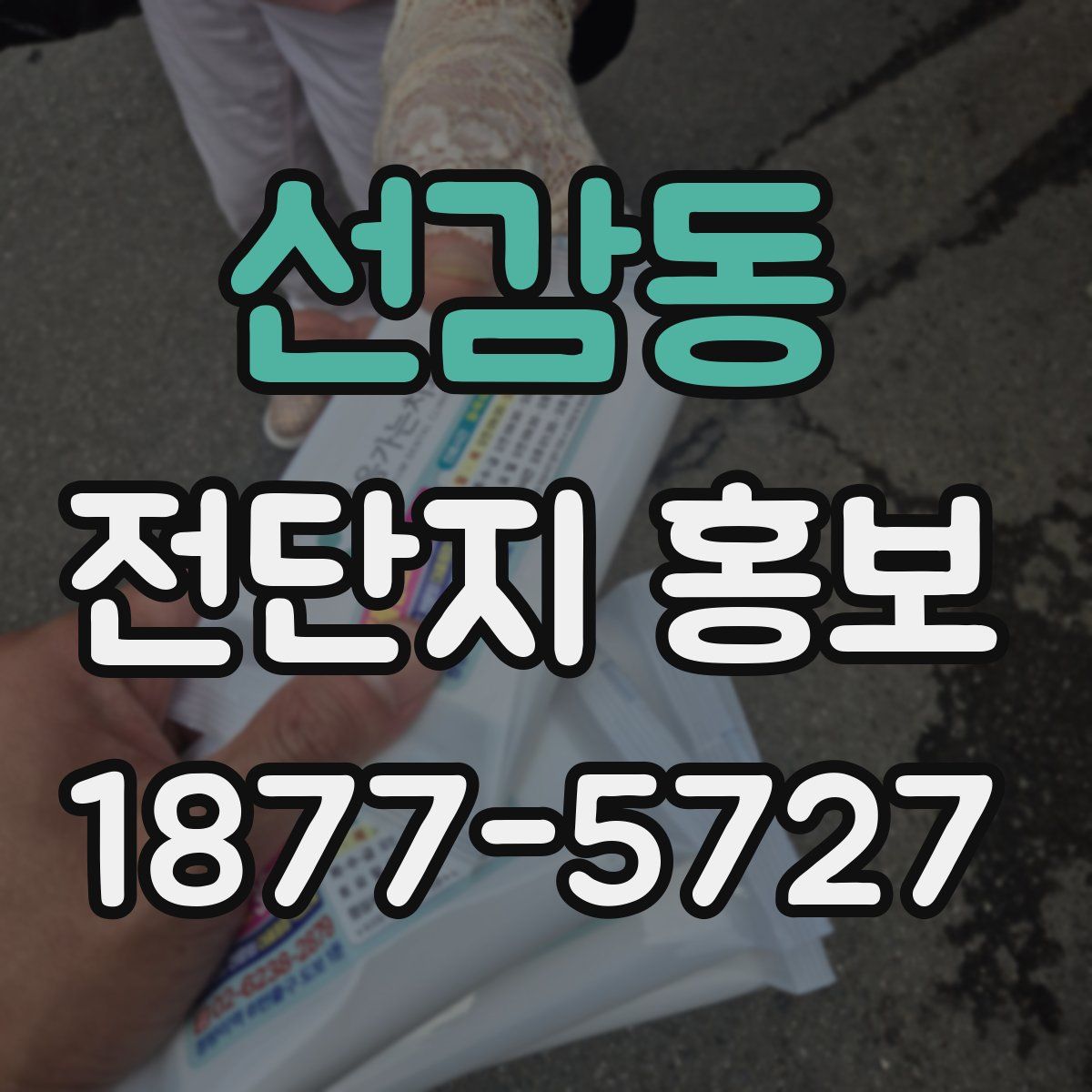 선감동 전단지 홍보