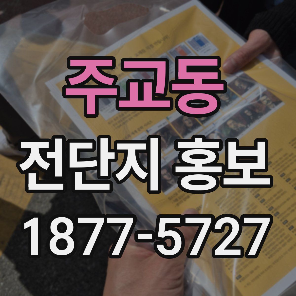 주교동 전단지 홍보