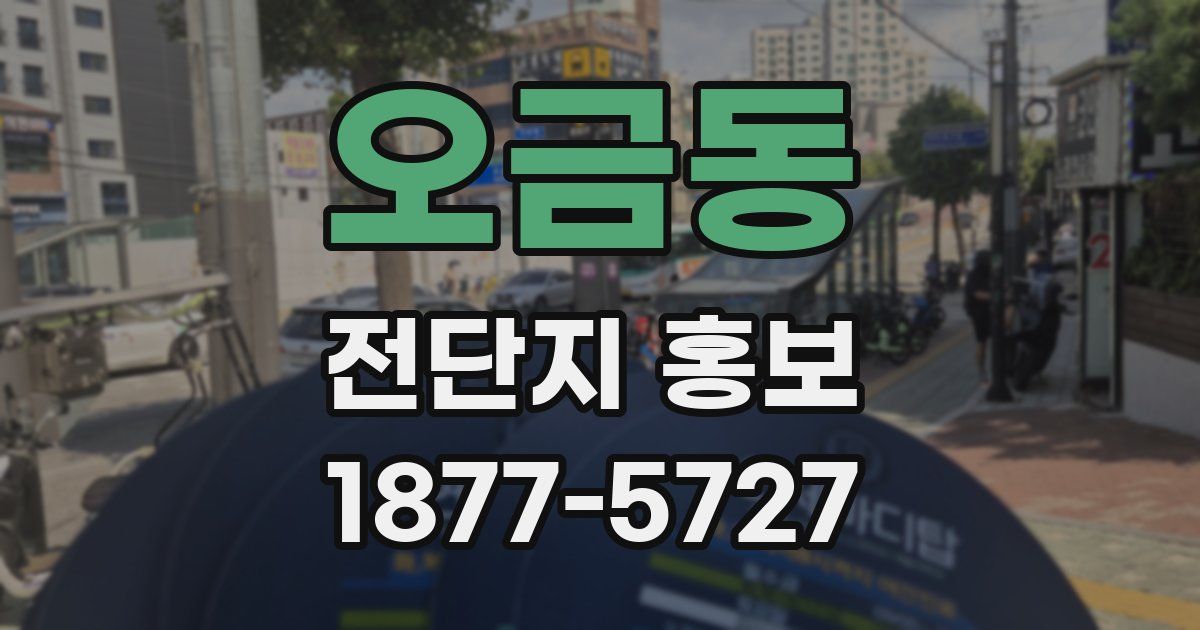 오금동 전단지 홍보