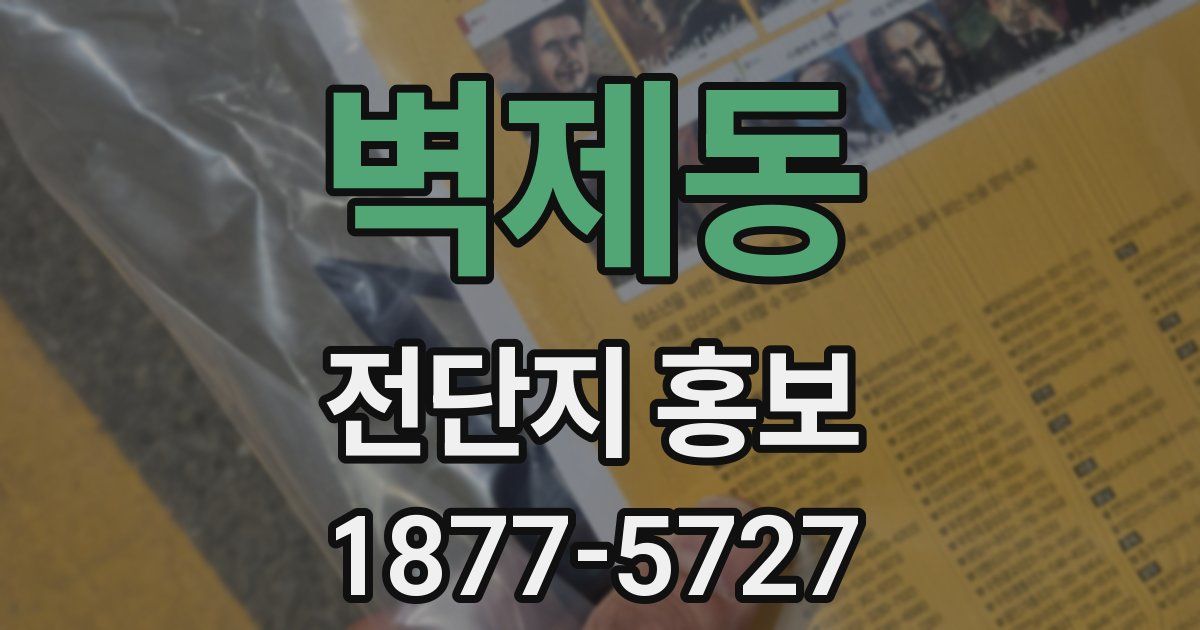 벽제동 전단지 홍보