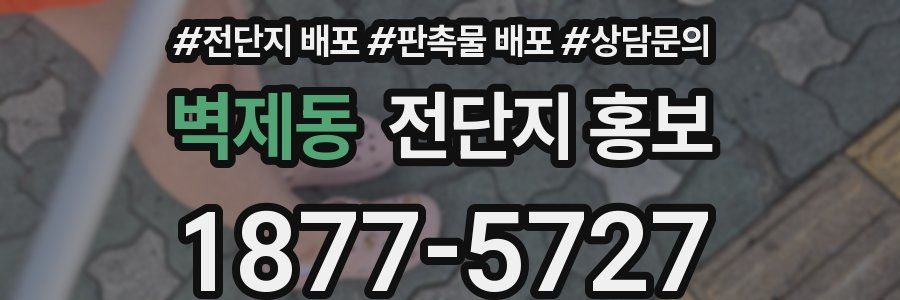 벽제동 전단지 홍보