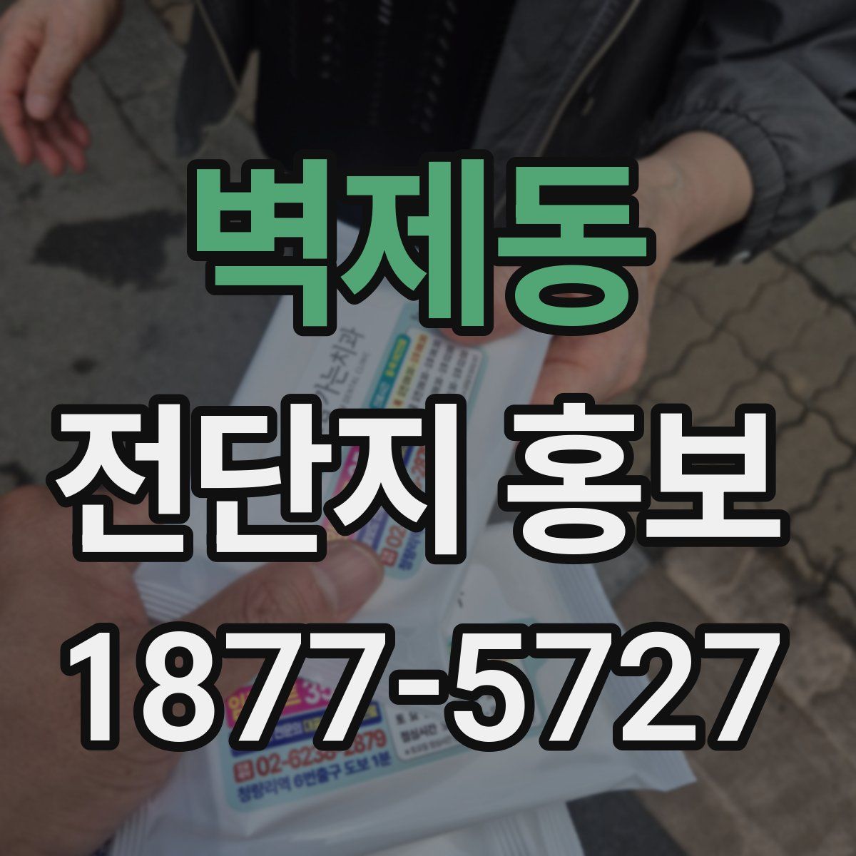벽제동 전단지 홍보