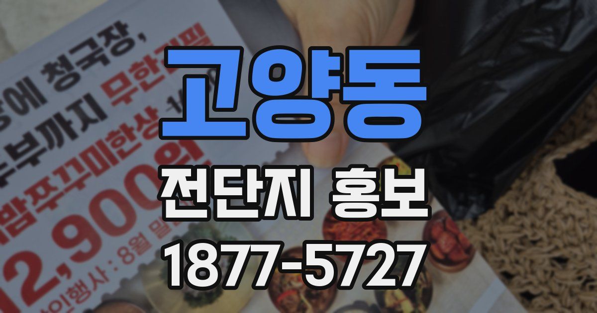 고양동 전단지 홍보