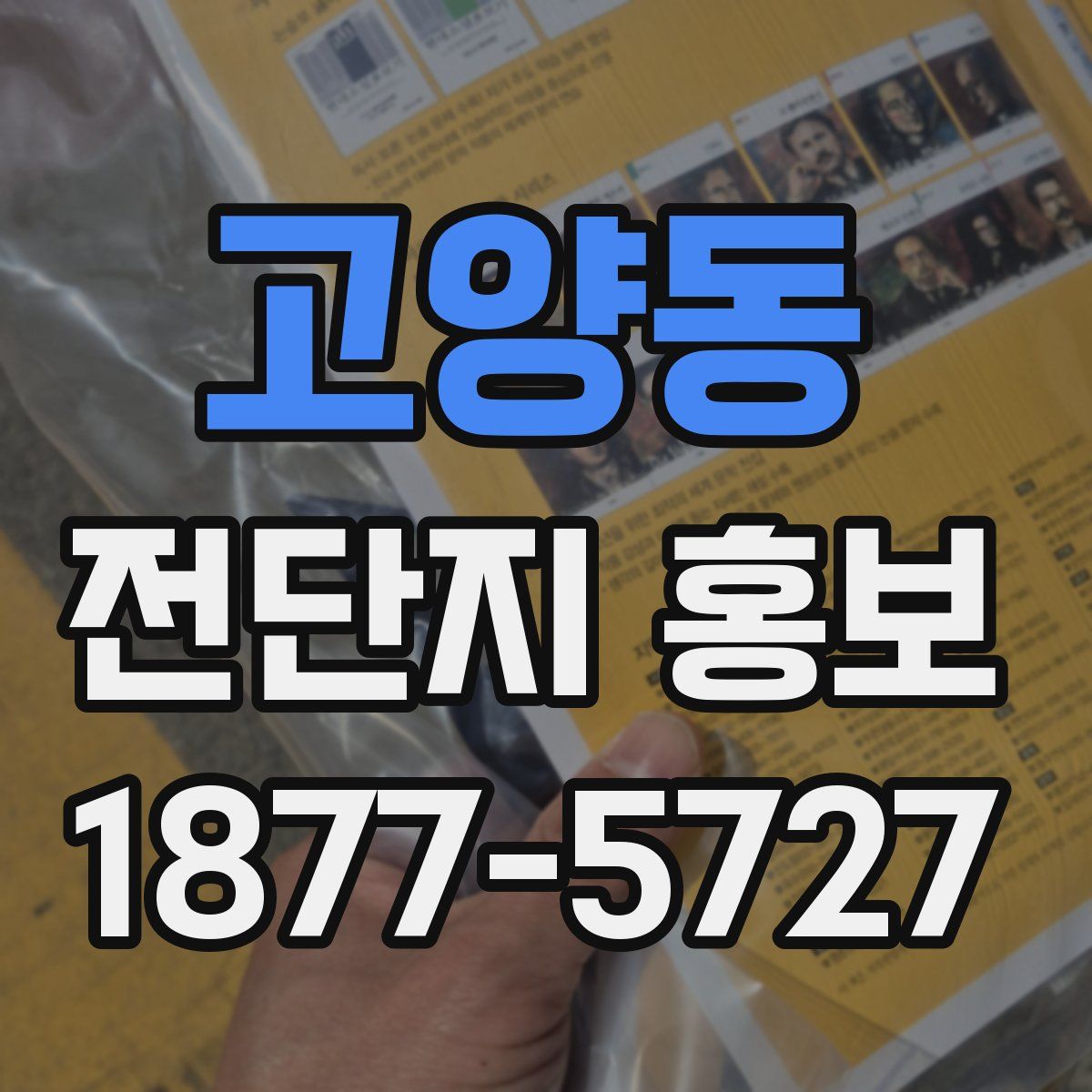 고양동 전단지 홍보