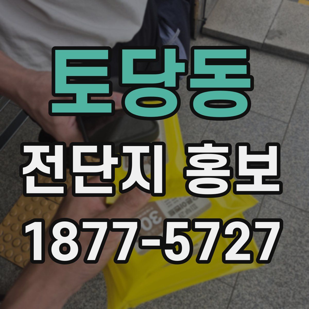 토당동 전단지 홍보
